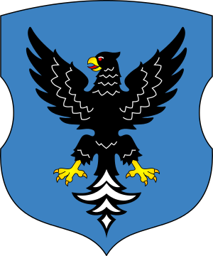 stemma di Mazyr