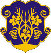 stemma di Uzhhorod