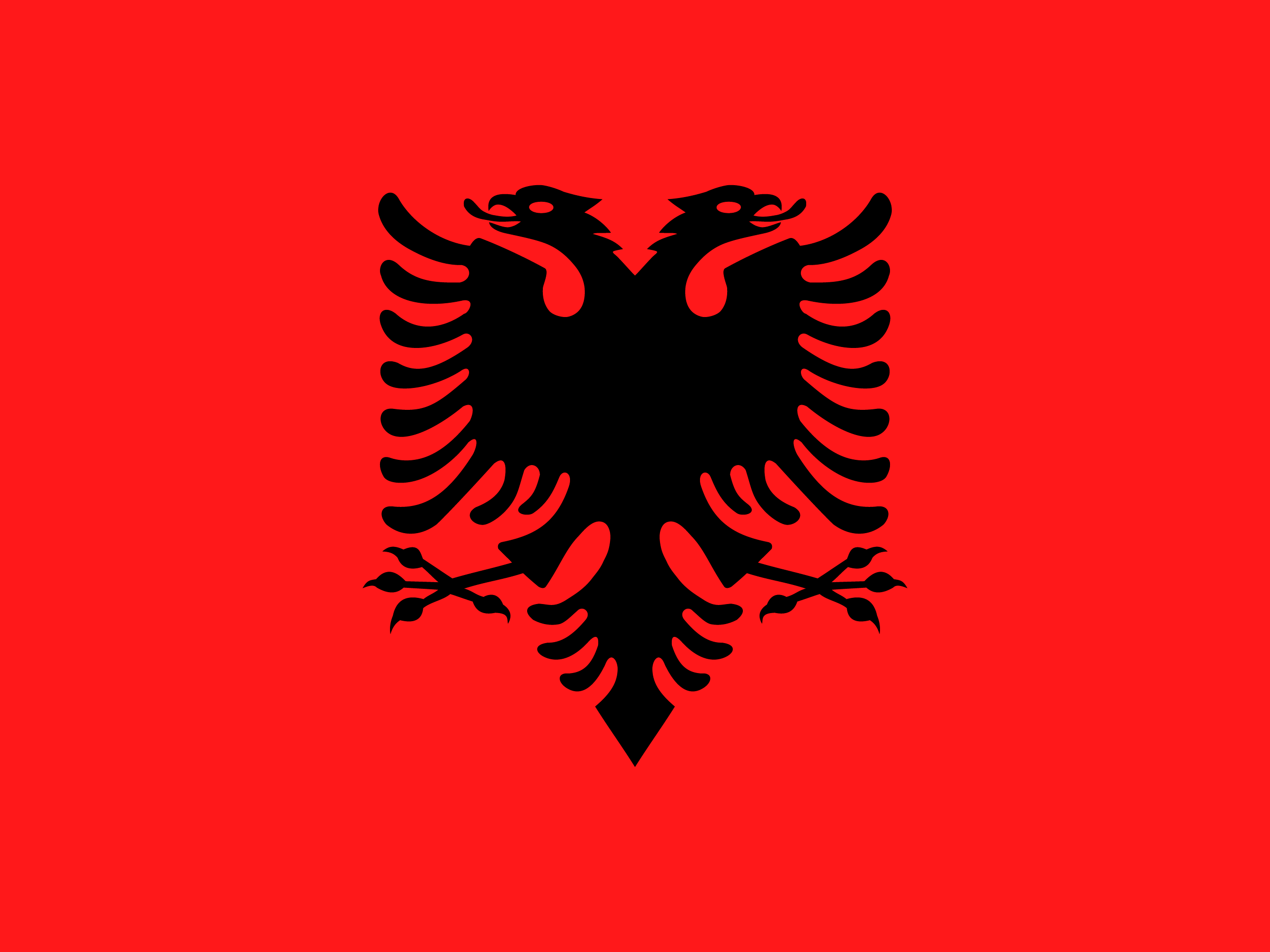 Bandiera di Albania