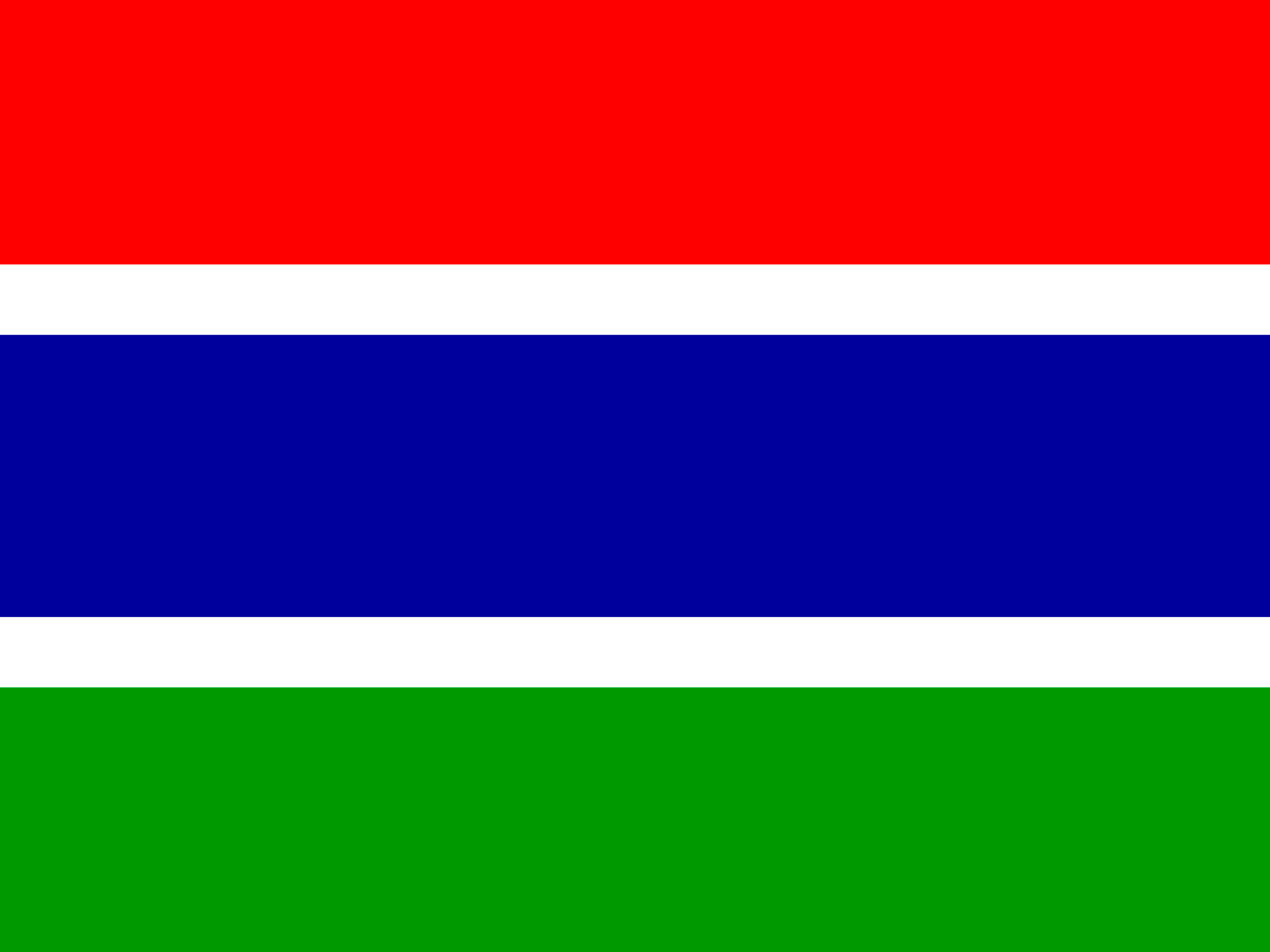 Bandiera di Gambia