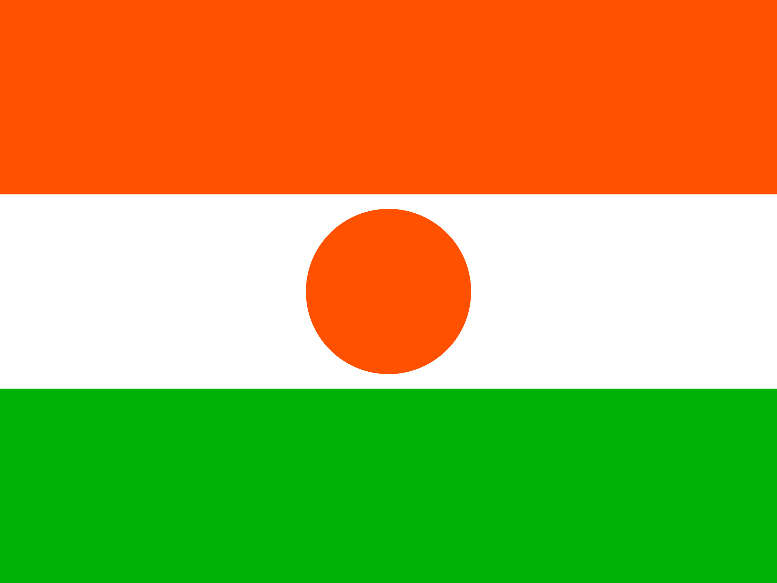Bandiera di Niger