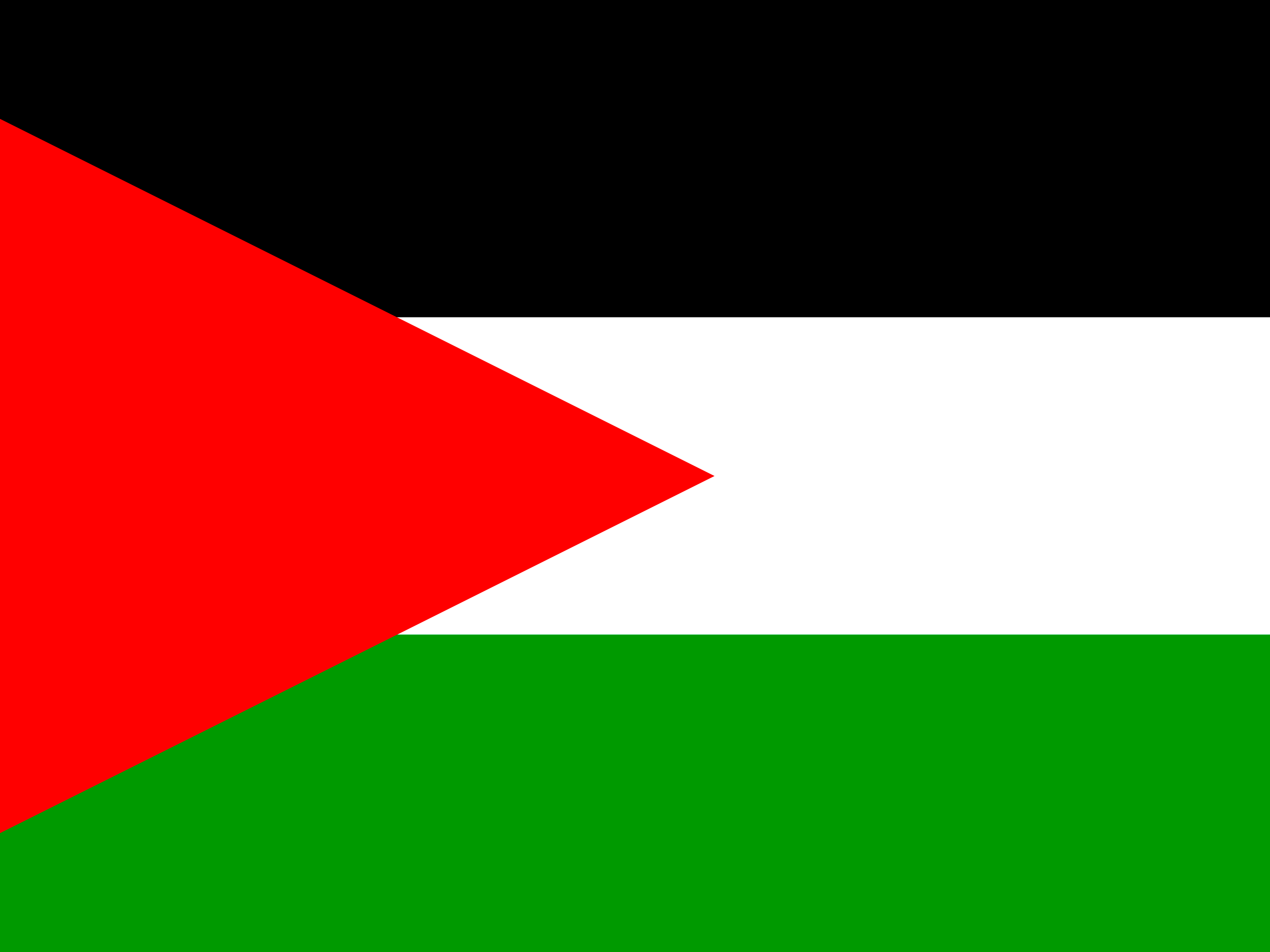 Bandiera di Palestina