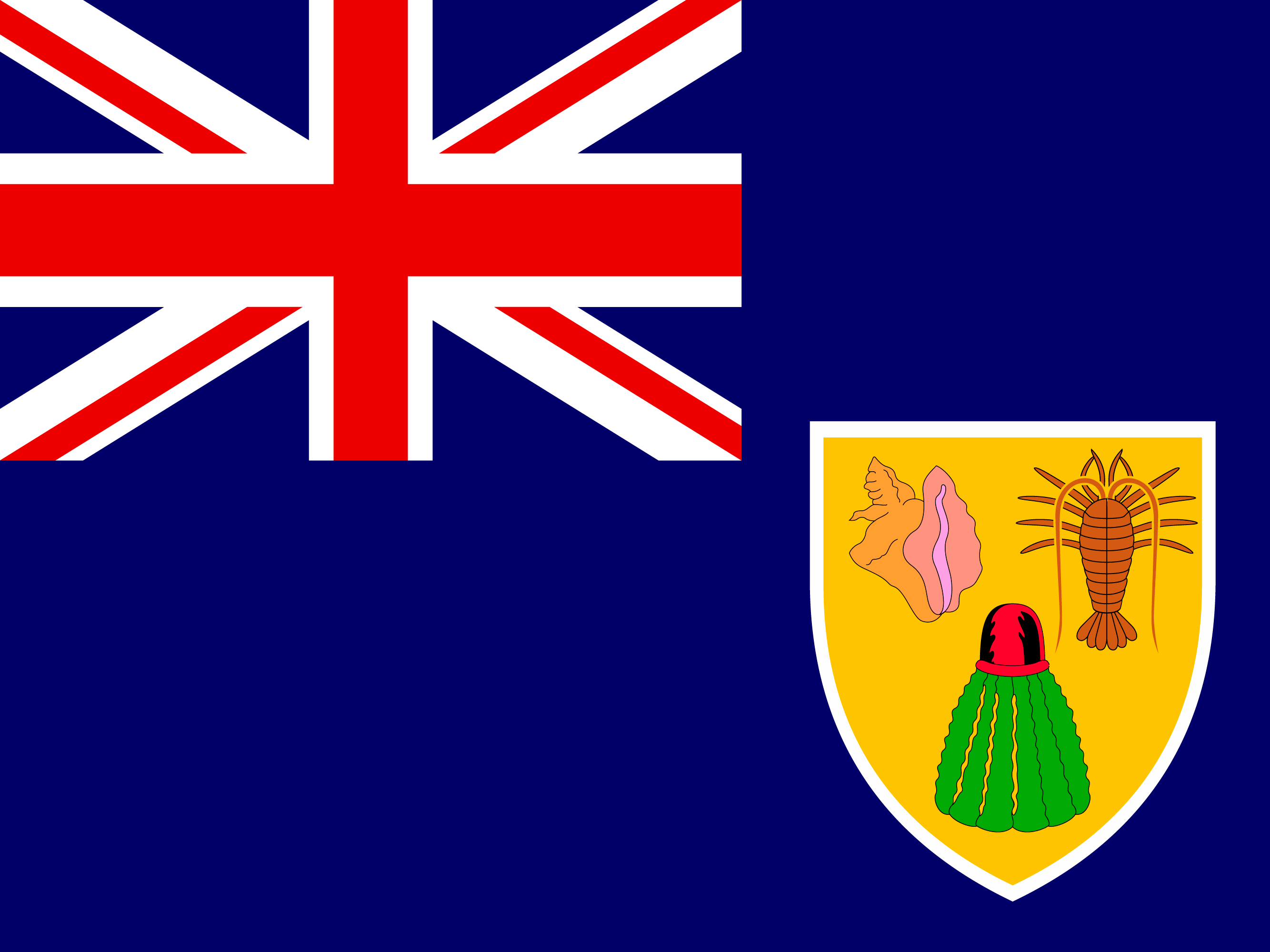 Bandiera di Isole Turks e Caicos