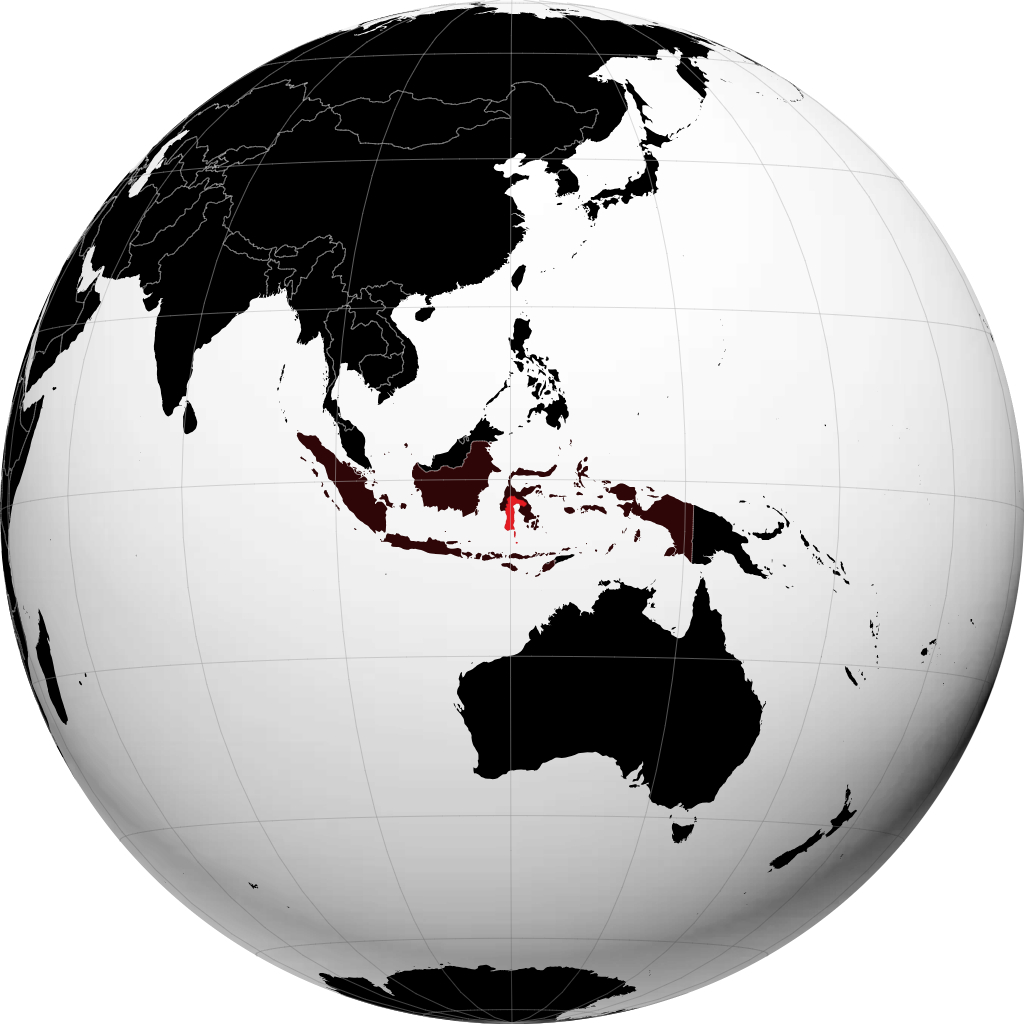 Sulawesi Meridionale sul globo