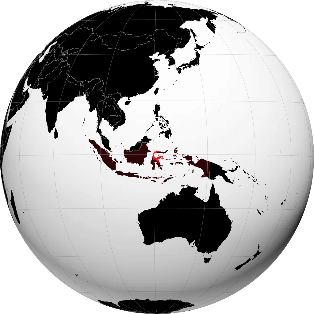 Sulawesi Centrale sul globo