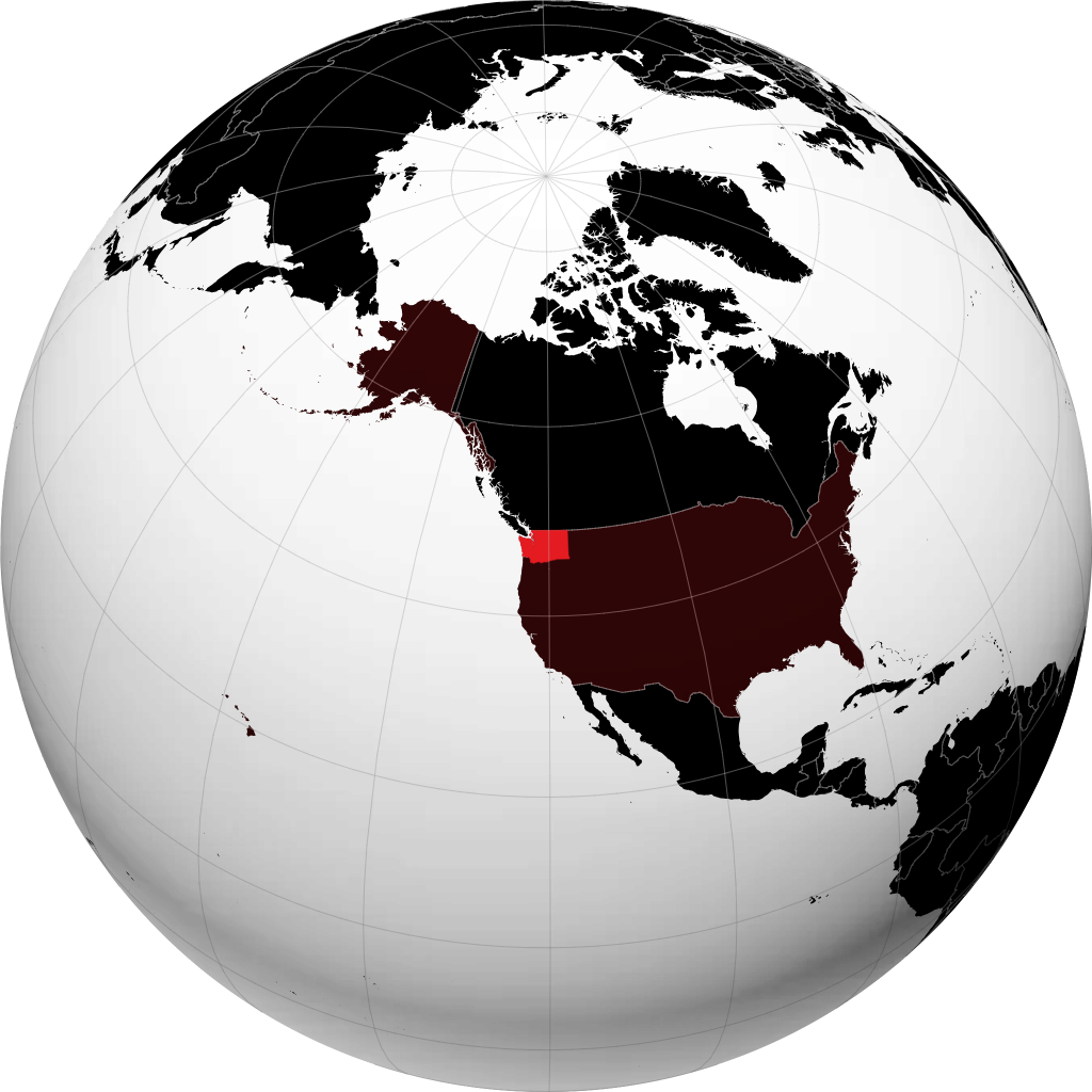 Washington sul globo