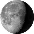 Gibbosa calante, illuminazione 79%